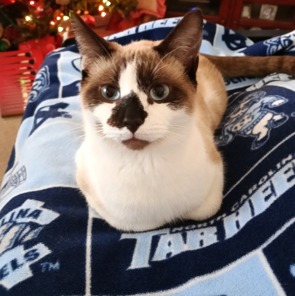 💕❤️JEWELRY Buy 2, Get 1 FREE❤️💕 - Picture 7 of 16